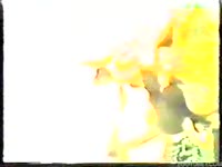 Vintage vid of zoophiles who make love with different animals 